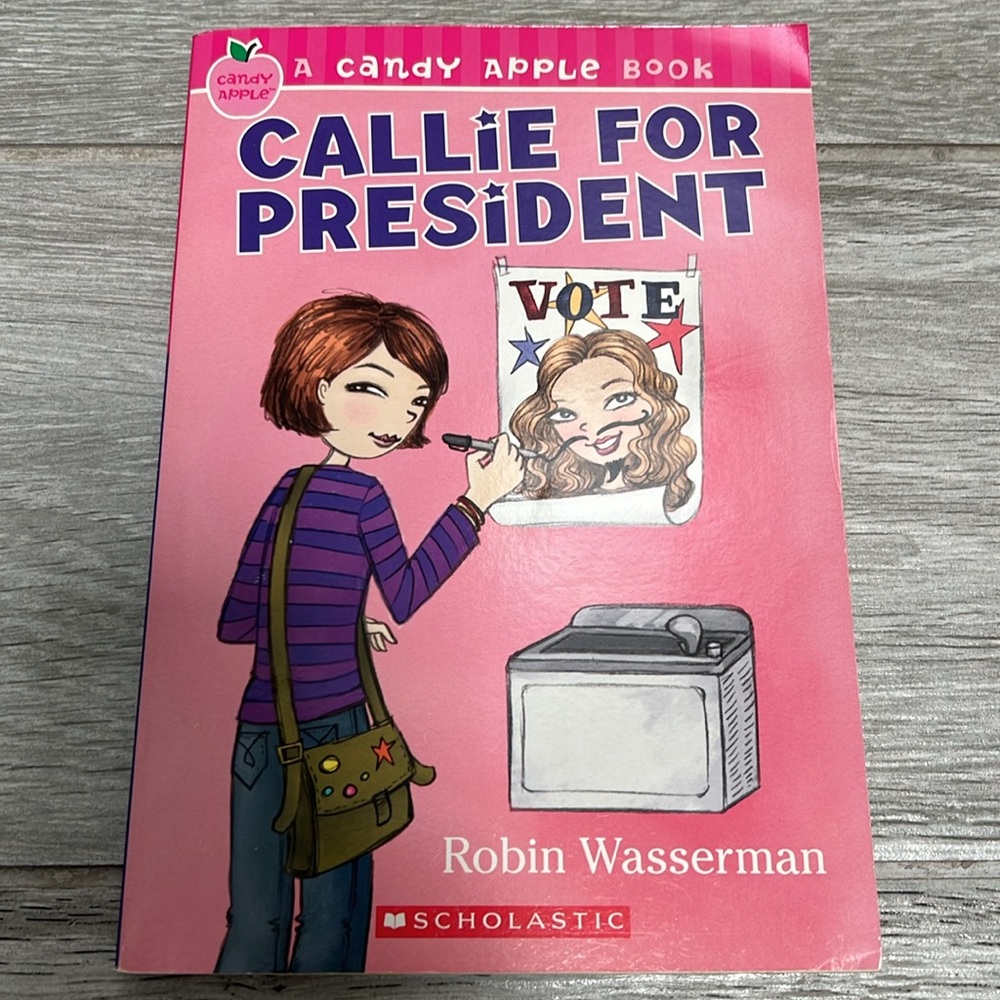 15 Chapter Books - Picture 6 of 16